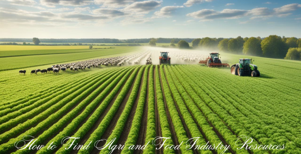 A green field with rows of crops, dairy cows grazing in the distance, a flock of geese flying overhead, and a tractor tending to the land, illustrating abundant agricultural resources for the agri and food industry.